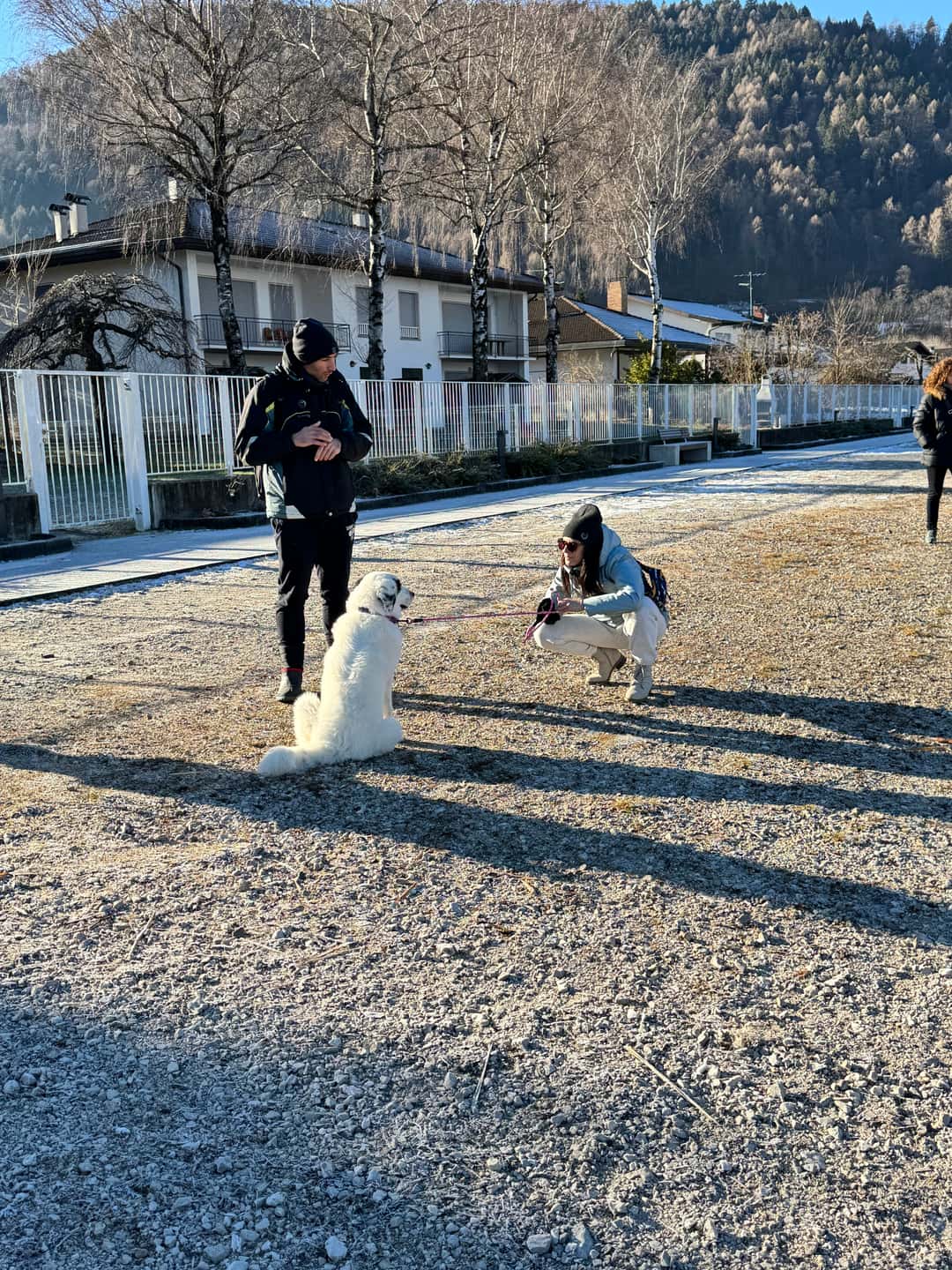 14EAA150-C252-4F2E-97AE-6E808A04789E.jpeg